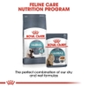 Pate Royal Canin Hairball Care cho Mèo trưởng thành giúp ngừa búi lông 85g