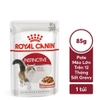 Pate Royal Canin Intense cho Mèo hỗ trợ đẹp da và lông 85g
