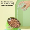 Lon hạt giống trồng cỏ mèo tươi Sun Sun