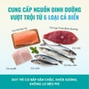 Hạt Bite Of Wild BOW F42 6Fish Formula Sức Khỏe Toàn Diện Không Ngũ Cốc Mix Topping Thịt Sấy Khô 1kg