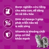 Hộp 6 gói Pate Whiskas dành mèo 80g