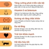 Thức ăn hạt Smartheart Puppy vị Bò & sữa cho Chó con dưới 12 tháng tuổi