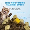 Hạt MrVet E series cao cấp cho mèo mọi lứa tuổi mix topping thịt sấy 1kg