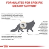 Thức ăn hạt hỗ trợ cho Mèo mắc bệnh sỏi thận - Royal Canin Urinary S/O