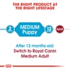 Thức ăn hạt cho Chó trung độ tuổi dưới 12 tháng tuổi - Royal Canin Medium Junior