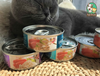 Pate lon cho mèo M'DARYN 80g