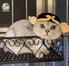 Mũ len cho chó mèo