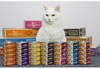 Pate lon cho mèo M'DARYN 80g