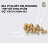 Thức Ăn Hạt cho Mèo SC Mix Thịt Cá Sấy Khô