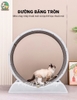 Máy chạy bộ cho Mèo PetQ - Bộ dụng cụ huấn luyện cho Mèo