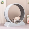Máy chạy bộ cho Mèo PetQ - Bộ dụng cụ huấn luyện cho Mèo