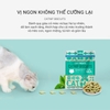 Bánh cá Catnip Biscuits Giảm Búi Lông Cho Mèo MatchWell 40g