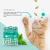 Bánh cá Catnip Biscuits Giảm Búi Lông Cho Mèo MatchWell 40g