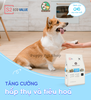 Thức Ăn Hạt Natural Core Cho Chó Vị Thịt Cừu S2 - Natural Core Eco Value S2