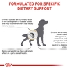 Thức ăn hạt hỗ trợ điều trị bệnh sỏi thận ở Chó - Royal Canin Urinary