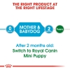 Thức ăn hạt  cho chó mẹ mang thai và chó con đến 2 tháng tuổi - Royal Canin Mini Starter Mother & BabyDog