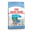 Thức ăn cho chó cỡ nhỏ bầu và dưới 4 tháng - Royal Canin Mini Starter