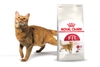 Thức ăn hạt cho Mèo trưởng thành Royal Canin Fit32