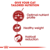 Thức ăn hạt cho Mèo trưởng thành Royal Canin Fit32