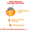 Hạt Royal Canin Hair & Skin cho Mèo chăm sóc da & lông