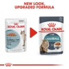 Pate cho Mèo giúp tiêu bó lông - Royal Canin Hairball Gravy