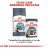 Pate cho Mèo giúp tiêu bó lông - Royal Canin Hairball Gravy
