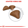 Hạt Royal Canin Hairball cho Mèo hỗ trợ tiêu búi lông