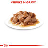 Pate cho Mèo giúp tiêu bó lông - Royal Canin Hairball Gravy