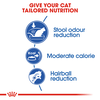 Hạt Royal Canin Indoor 27 cho Mèo trưởng thành trong nhà trên 12 tháng tuổi