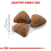 Thức ăn cho Mèo trưởng thành trong nhà -  Royal Canin Indoor 27