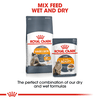 Pate cho Mèo hỗ trợ đẹp da và lông - Royal Canin Intense Beauty