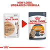Pate cho Mèo hỗ trợ đẹp da và lông - Royal Canin Intense Beauty