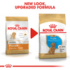 Thức ăn hạt dành riêng cho Poodle - Royal Canin Poodle Puppy