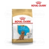 Thức ăn hạt dành riêng cho Poodle - Royal Canin Poodle Puppy