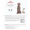 Pate Royal Canin dành cho chó mèo Recovery hỗ trợ phục hồi 195g