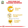 Hạt Royal Canin British Shorthair cho Mèo Anh Lông Ngắn