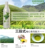 Sữa Tắm Thảo Dược Trà Xanh Cho Chó Mèo Joyce & Dolls Tea
