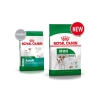 Thức ăn cho chó cỡ nhỏ trên 10 tháng - Royal Canin Mini Adult