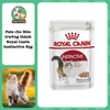 Pate Royal Canin Intense cho Mèo hỗ trợ đẹp da và lông 85g