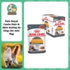 Pate Royal Canin Hair&Skin cho Mèo trưởng thành chăm sóc da lông 85g