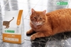 Thức ăn giàu thịt gia cầm cho mèo trưởng thành - Nature's Protection Indoor