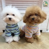 Áo Cổ Lọ Cho Cún Hoạ Tiết Kẻ Ngang Dành Cho Thú Cưng từ 7kg-18kg