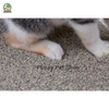 ♨️Cát vệ sinh bentonite cho mèo Ultra Neptune 17L🐱