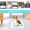 Thảm lót vệ sinh cho thú cưng Doog & Caat