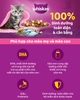 Thức ăn hạt khô cho mèo nhỏ Whiskas Junior