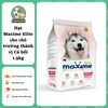 Thức ăn hạt khô MAXIME ALDUT cho Chó Trưởng Thành
