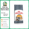 Thức ăn cho Mèo chăm sóc da & lông - Royal Canin Hair & Skin