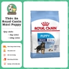 Thức ăn cho chó lớn dưới 12 tháng tuổi - Royal Canin Maxi Puppy