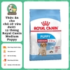 Thức ăn cho chó cỡ vừa dưới 12 tháng - Royal Canin Medium Puppy