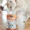Bánh thưởng KIT CAT KITTY CRUNCH cho mèo